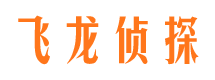 大城市调查公司